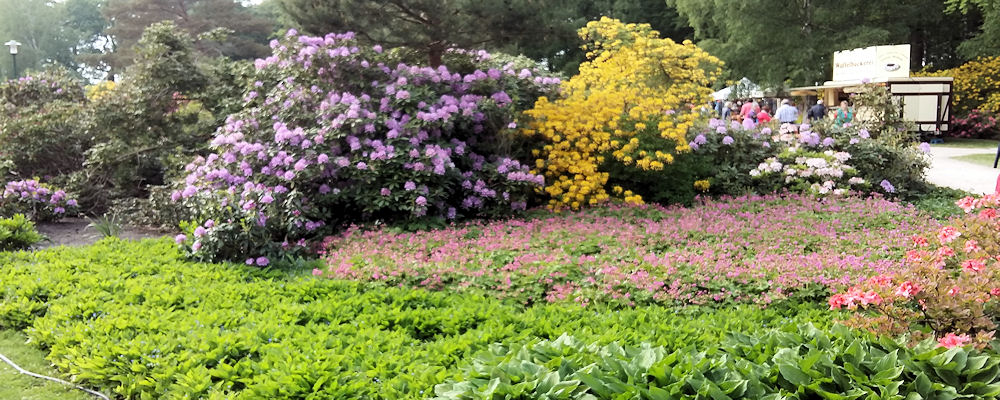 Rhododendronpark Graal-Müritz